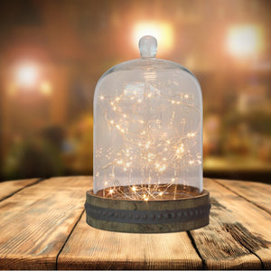 Donna 20 ft. 120-Light Fairy String Light