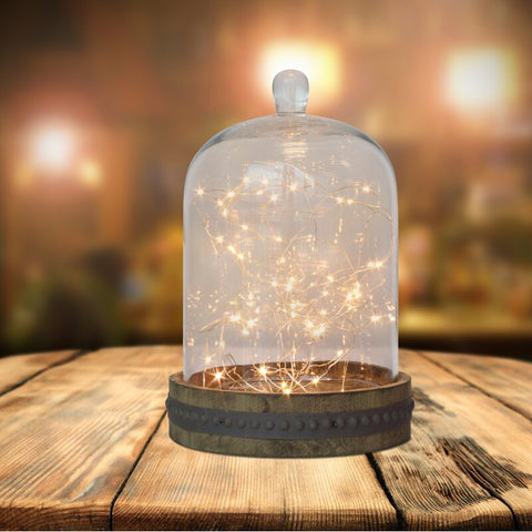 Donna 20 ft. 120-Light Fairy String Light